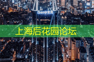 了解上海的社区文化活动